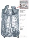 BOTA BRAZO-IZQUIERDO para Presoterapia profesional IB-9102 (Brazo IZQ IB-01)